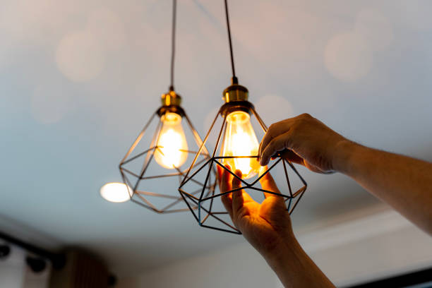 Best Electric Panel Repair  in , SD